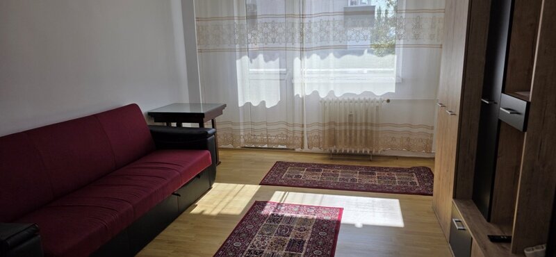Tineretului, Palatul Copiilor, proprietar -