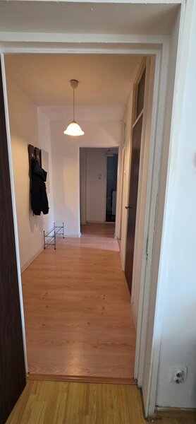 Tineretului, Palatul Copiilor, proprietar -